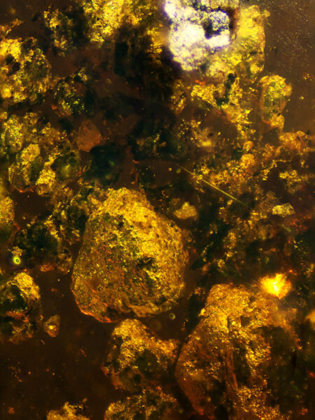 Small rocks in fossilized amber (amber inclusion). Amber obtained from Burma region (Burmite)