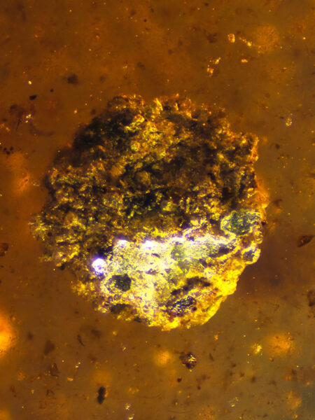 Small rock in fossilized amber (amber inclusion). Amber obtained from Burma region (Burmite)