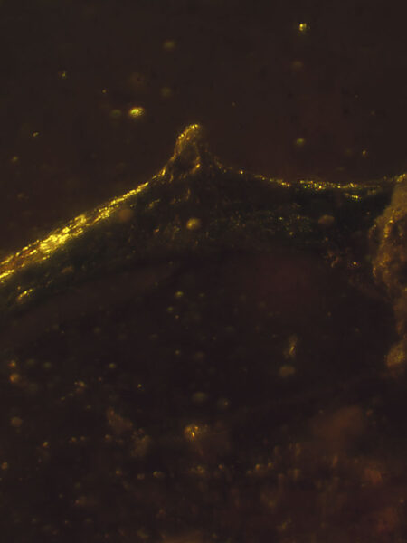 Object in fossilized amber (amber inclusion). Amber obtained from Burma region (Burmite)